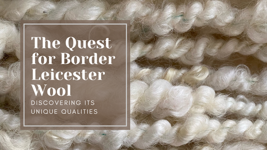 The Quest for Border Leicester Wool: Discovering Its Unique Qualities