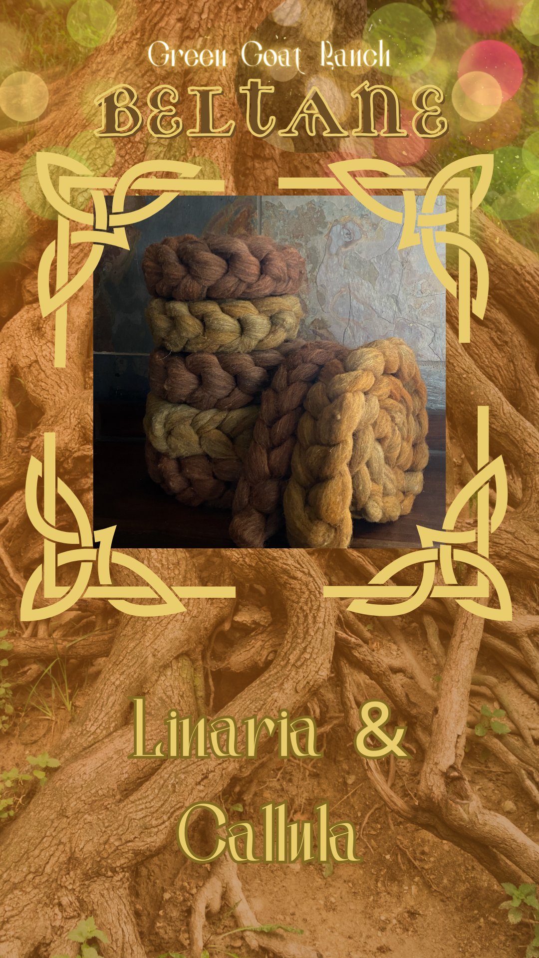 Pre-Order Plying Pair - Linaria & Callula