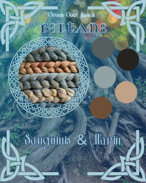 Pre- Order Plying Pair - Sanguinis & Marin