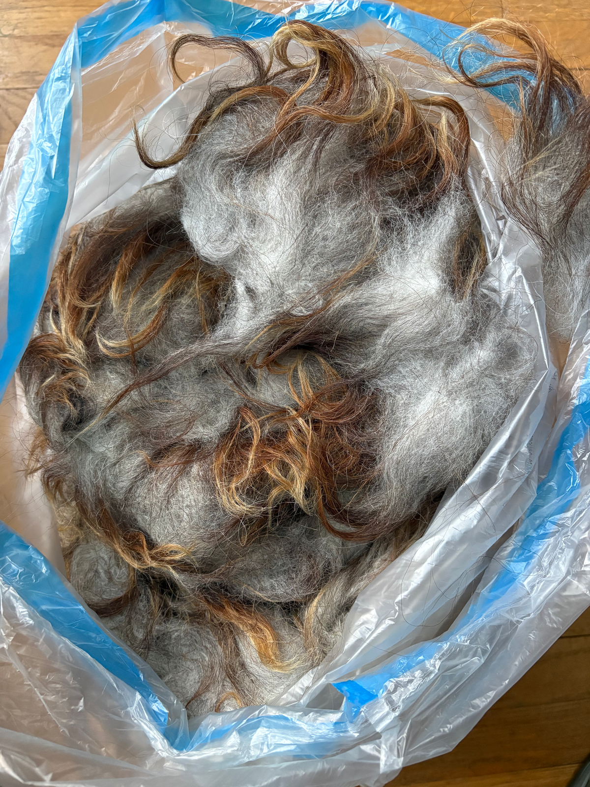 Washed Wool #039 - Icelandic