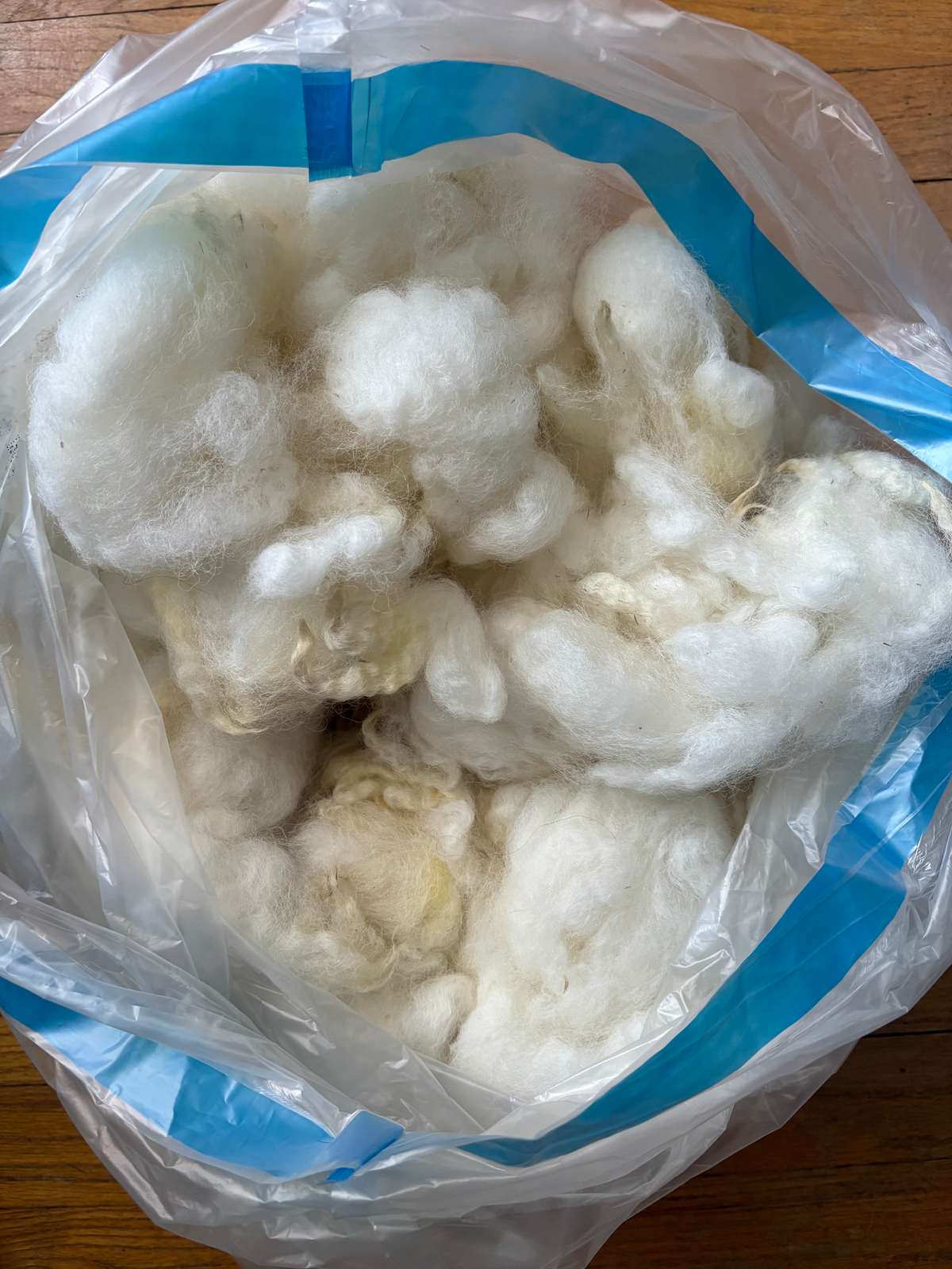 Washed Wool #042 - Border Leicester/Cheviot Cross