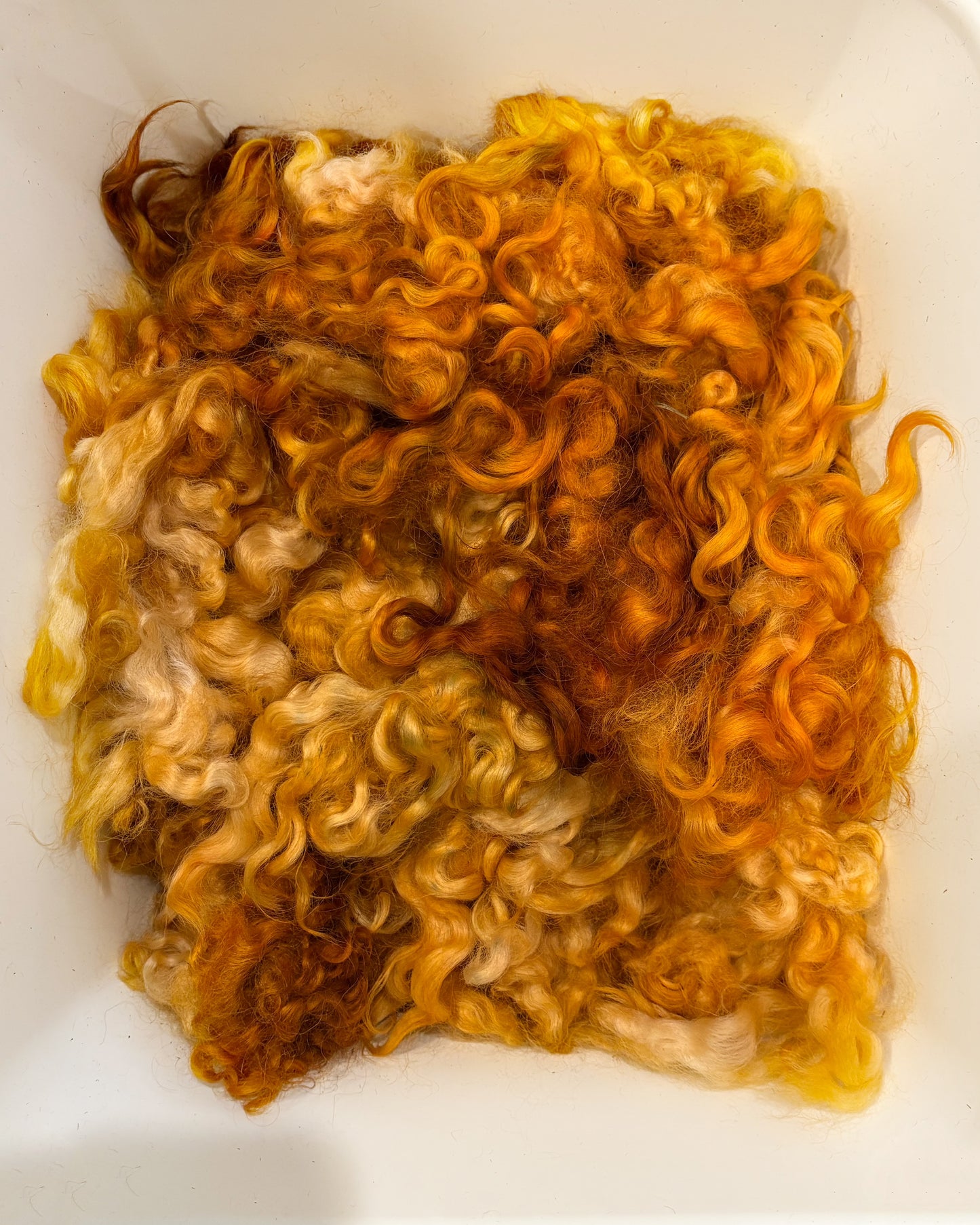 Dyed Locks - #269 Cotswold