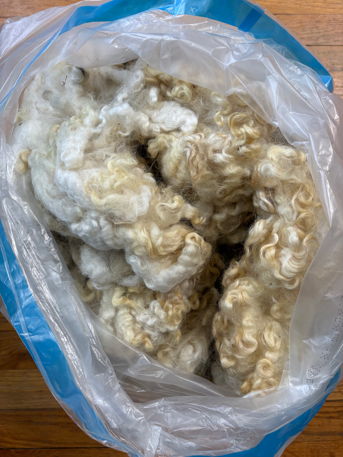 Washed Wool #049 - Romney