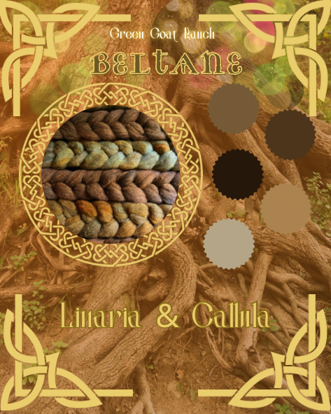 Pre-Order Plying Pair - Linaria & Callula