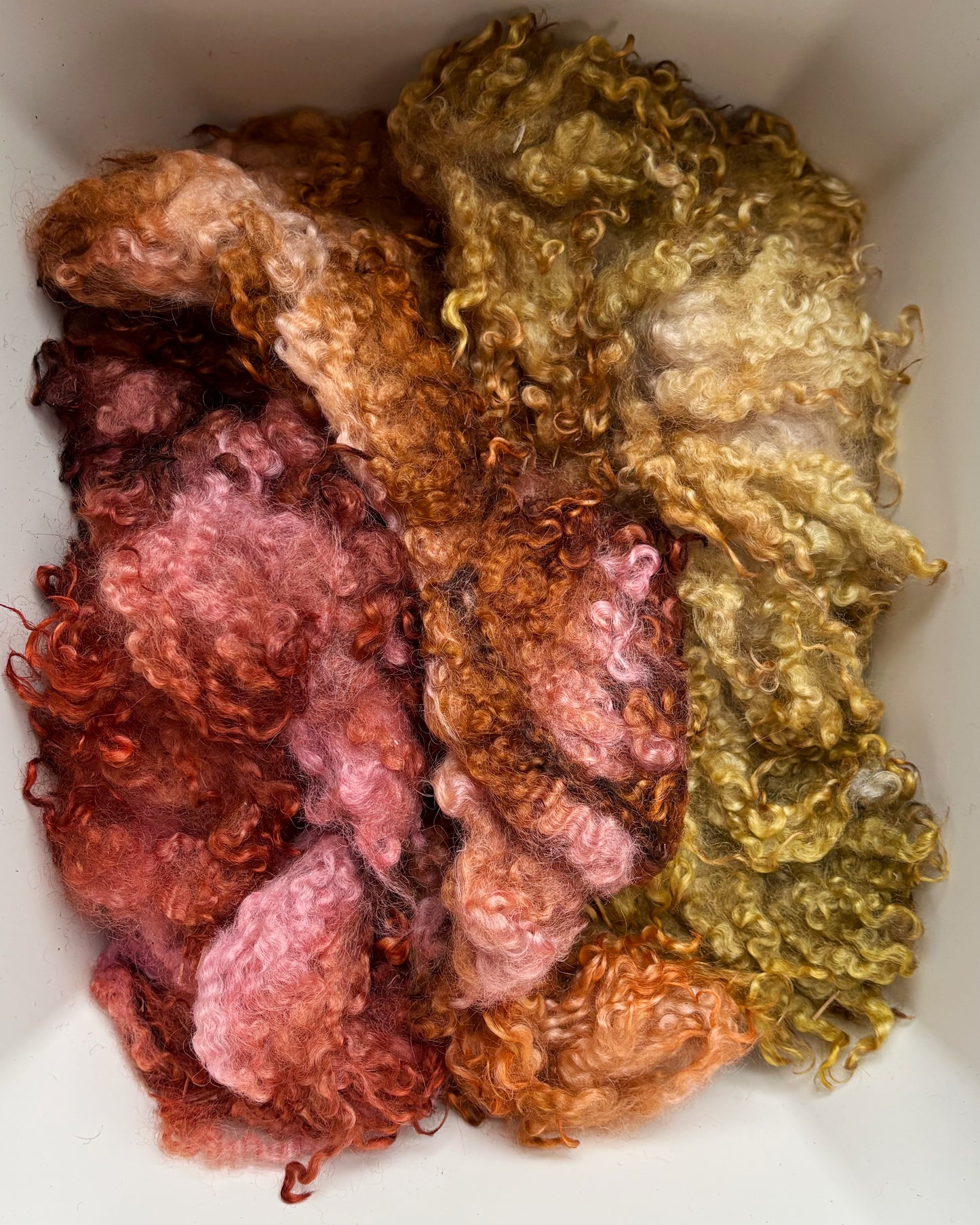 Dyed Border Leicester Cloud - Cordyceps Bloom