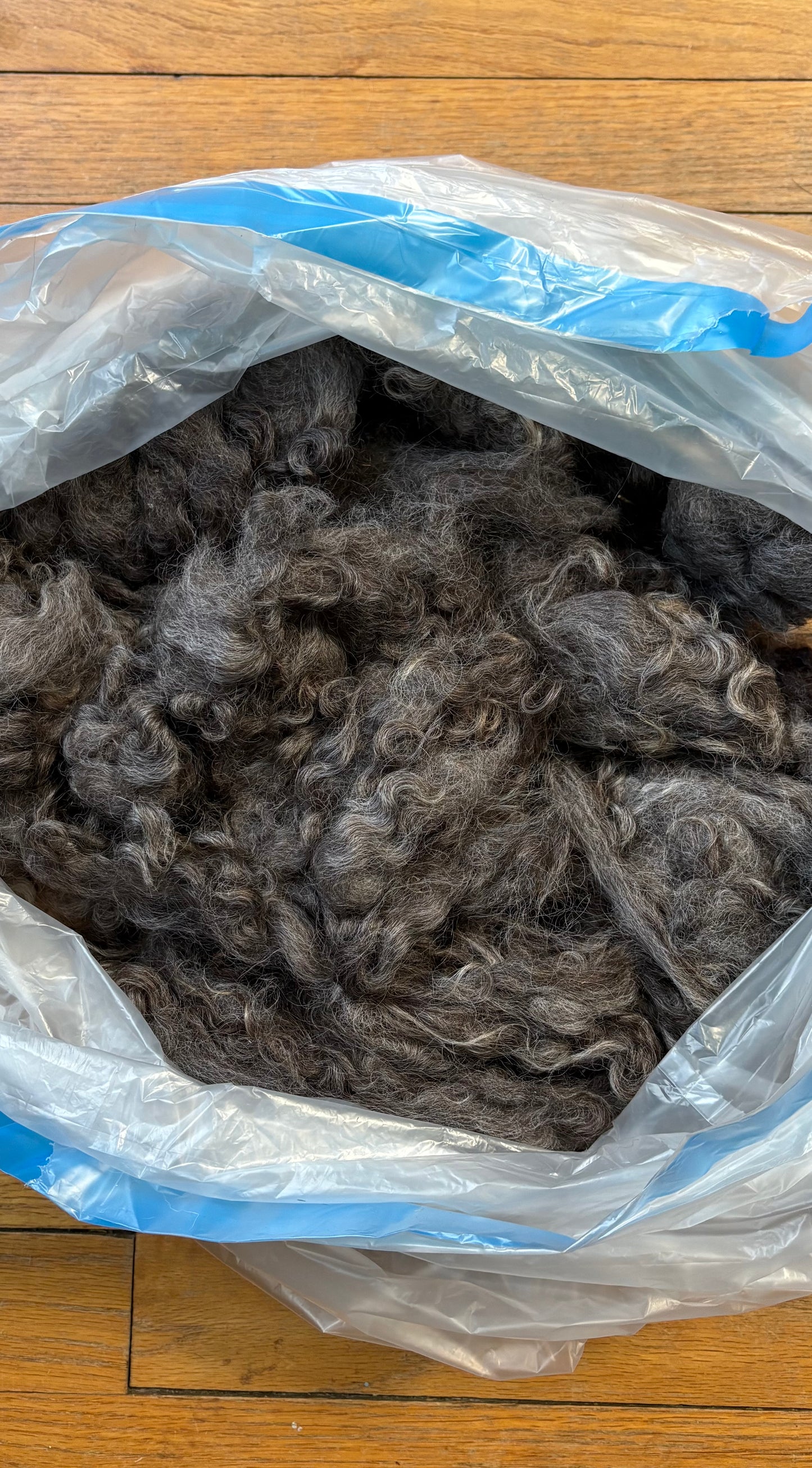 Washed Wool #020 - Border Leicester Wool