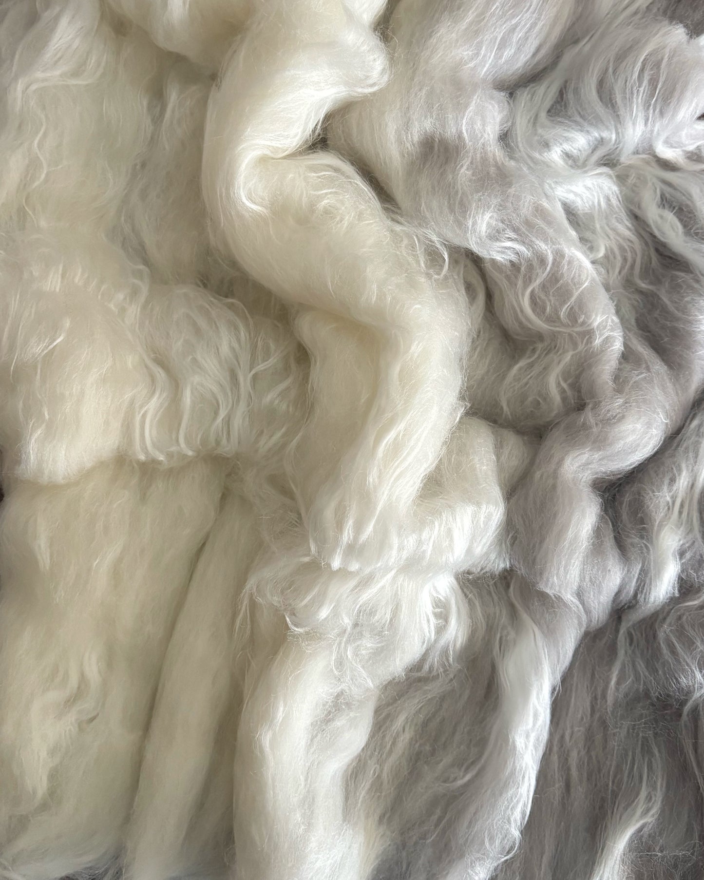 Reflections Batt - 46