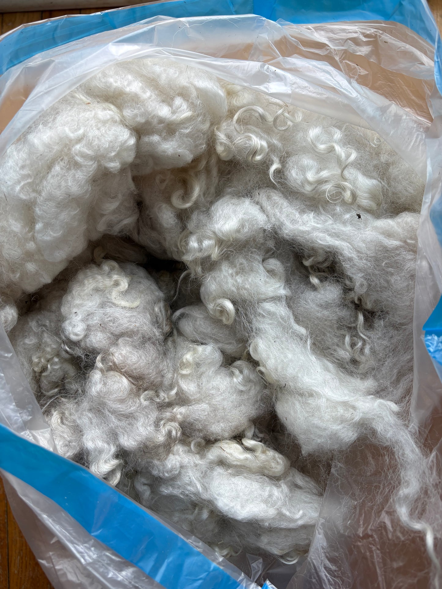 Washed Wool #002 - Border Leicester Wool