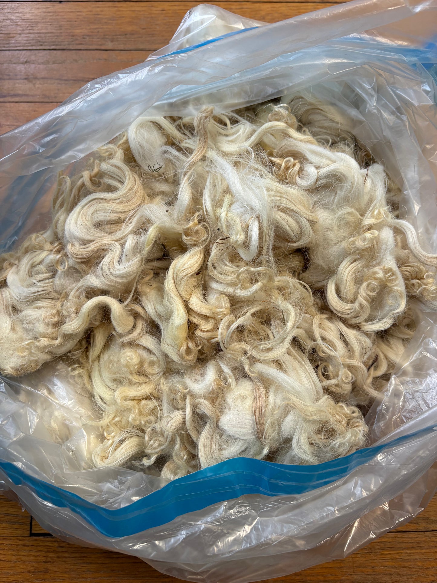 Washed Wool #017 - Karakul Wool