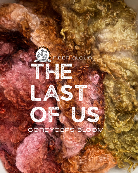 Dyed Border Leicester Cloud - Cordyceps Bloom