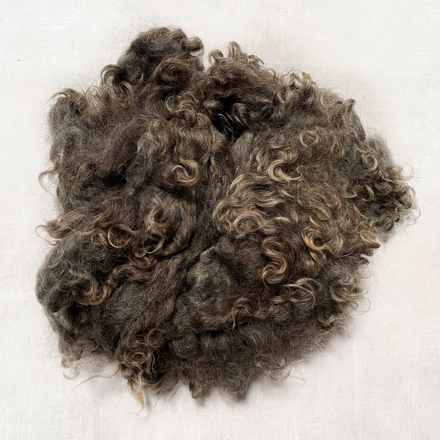 Washed Wool - Border Leicester Lot H