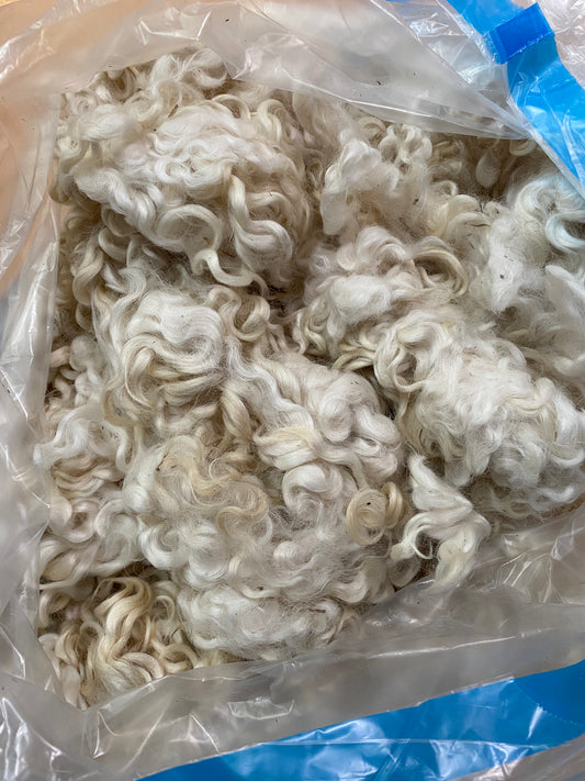 Washed Wool - Lincoln Lot H - DISCOUNTED