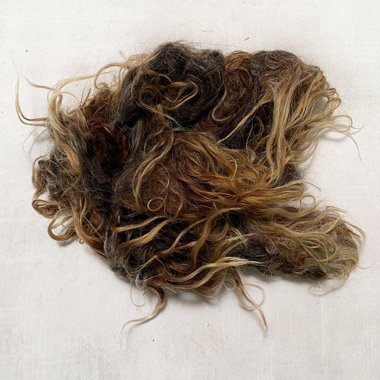 Washed Wool - Navajo Churro Lot C