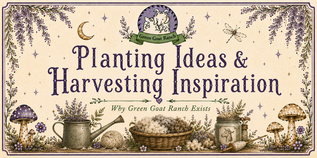 Planting Ideas & Harvesting Inspiration