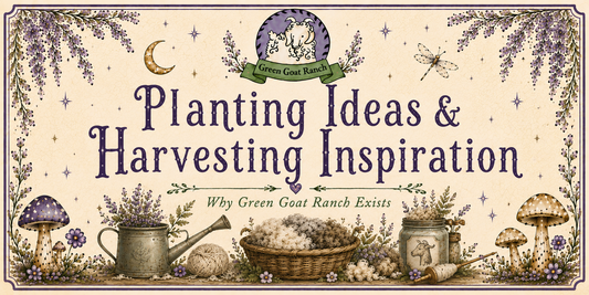 Planting Ideas & Harvesting Inspiration