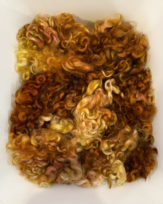 Dyed Locks - #262 Cotswold