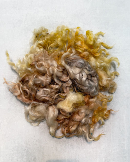Dyed Locks - #251 Cotswold