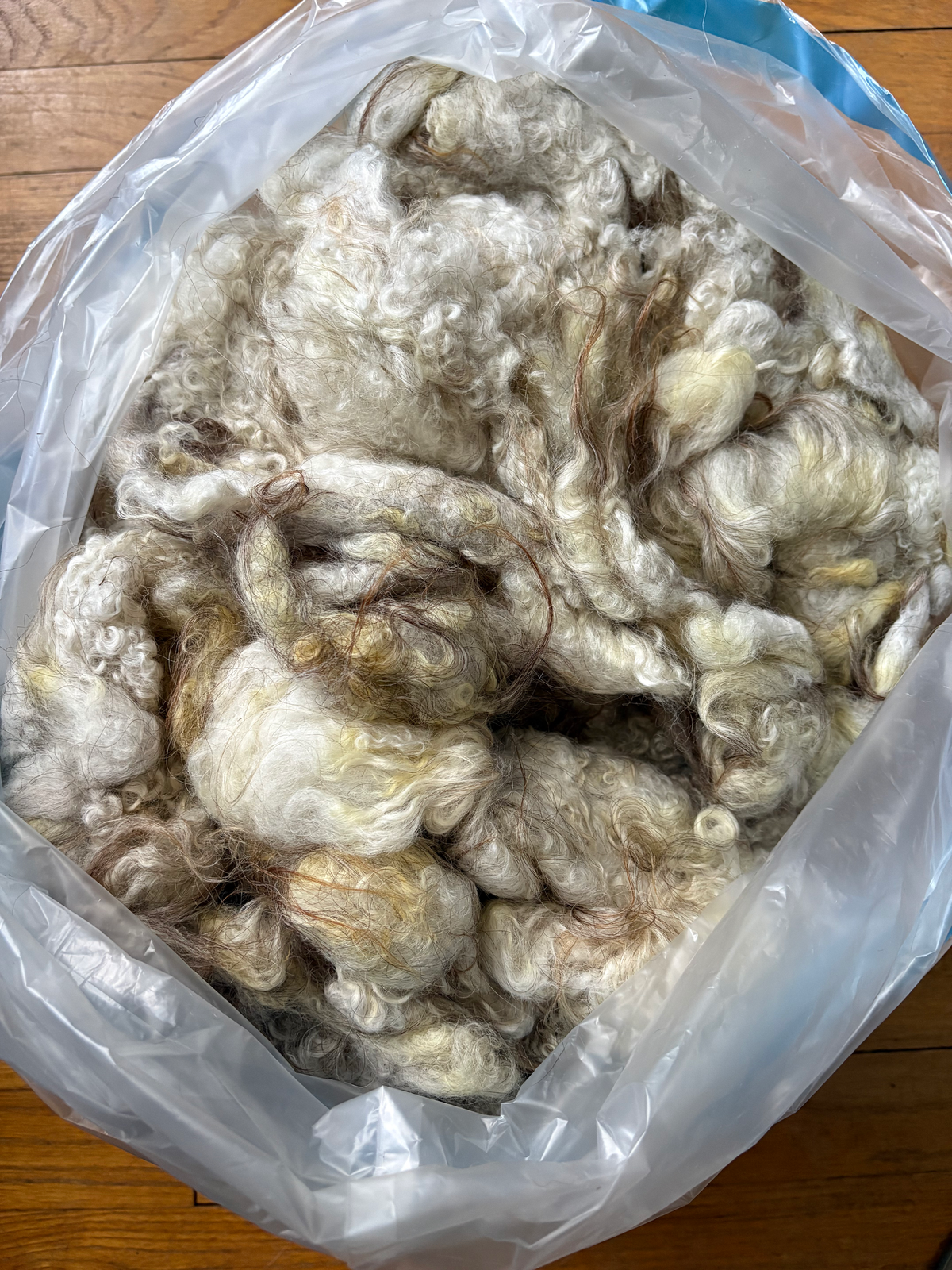 Washed Wool #040 - Icelandic