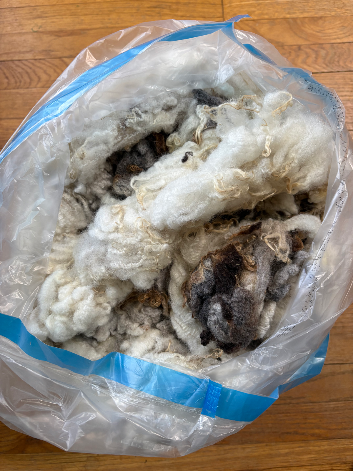Washed Wool #048 - BFL/Romney Cross