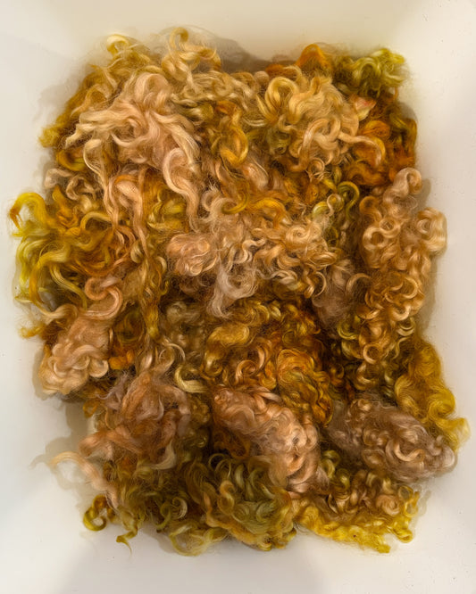 Dyed Locks - #263 Cotswold