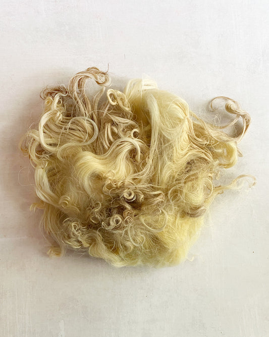 Washed Wool - Karakul Lot B