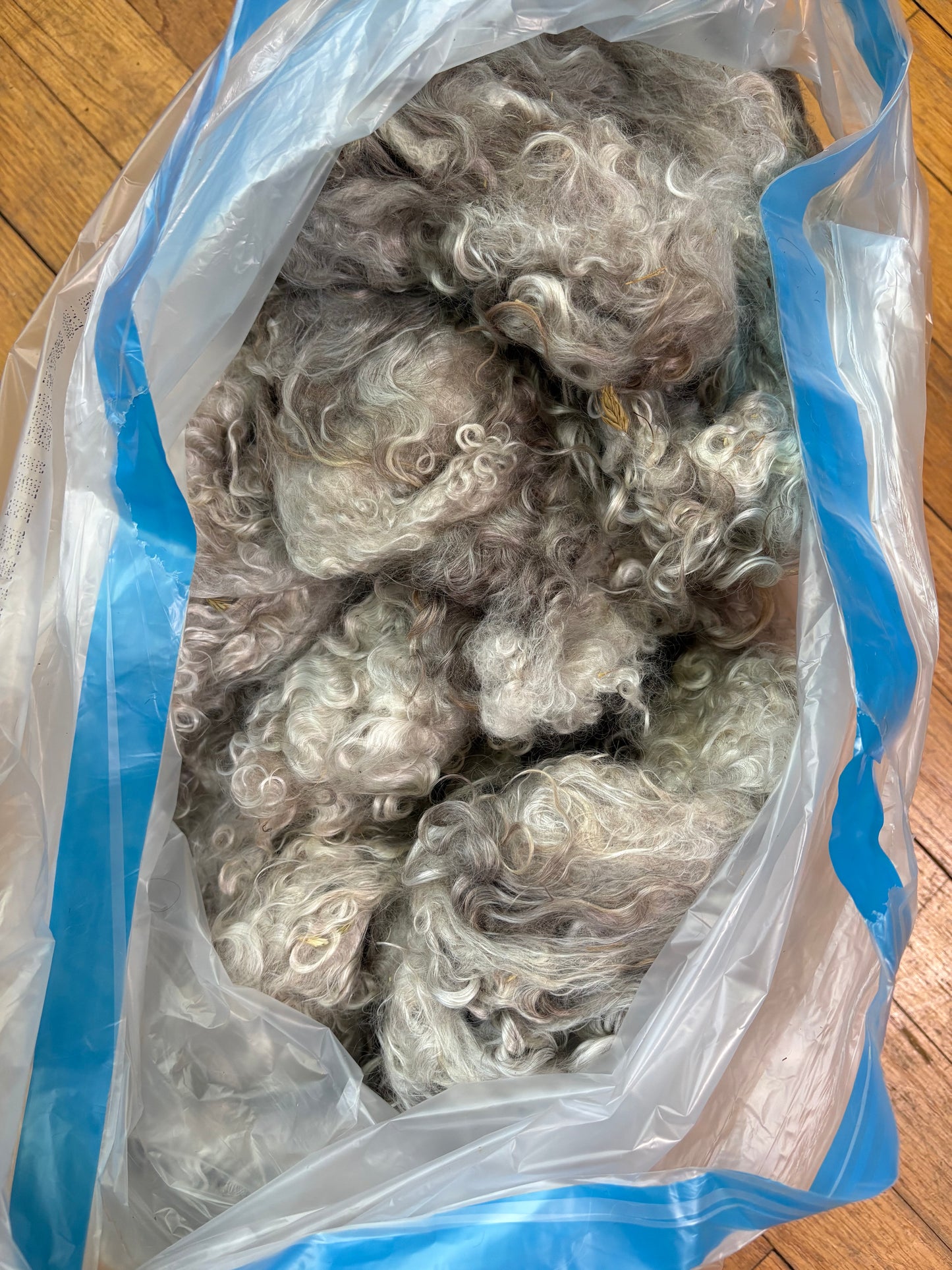 Washed Wool #026 - Mohair (Angora Goat)
