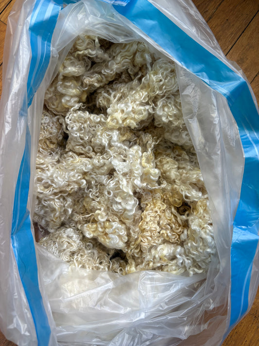 Washed Wool #028 - Wensleydale Cross