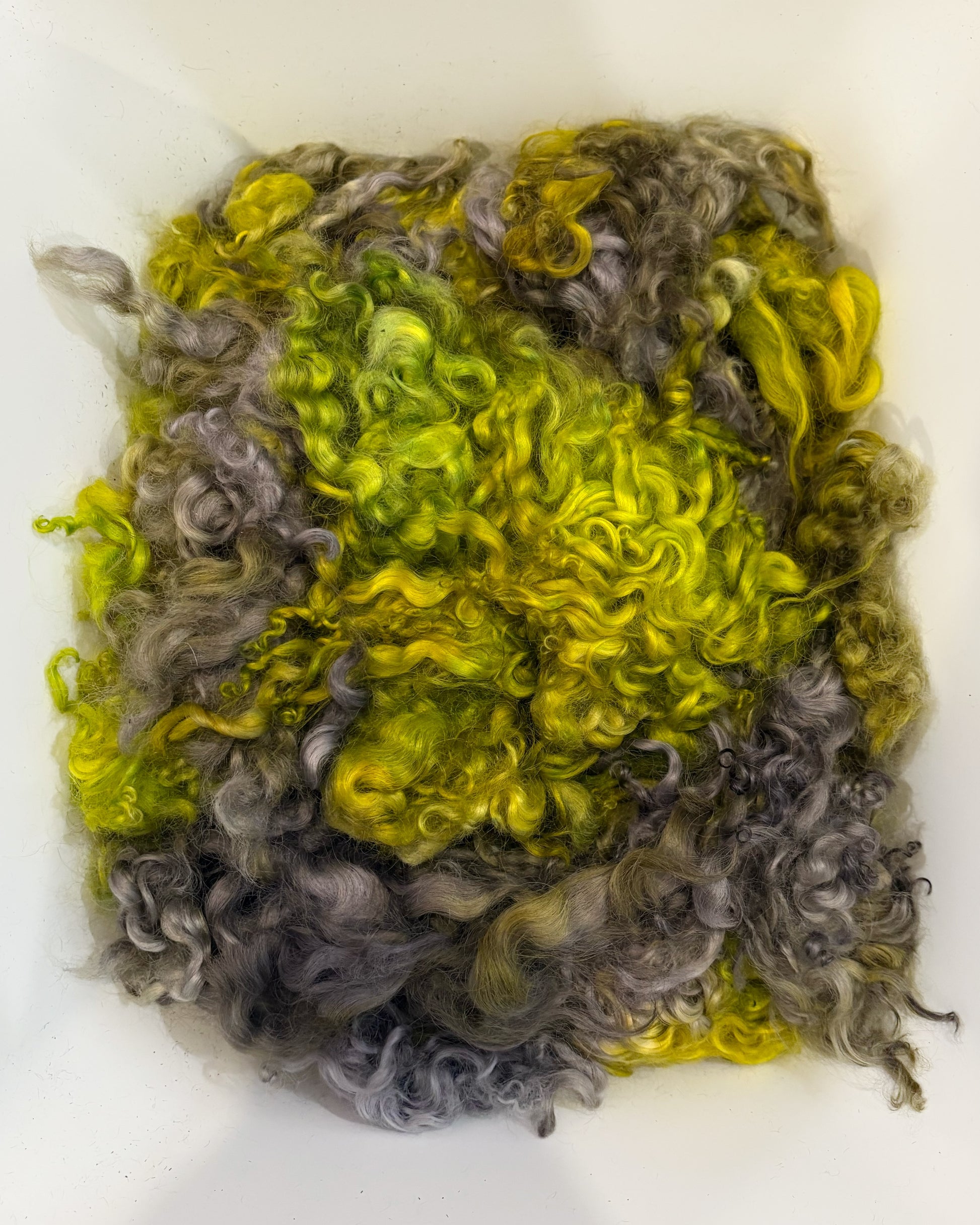Dyed Cotswold locks #261 — curly wool locks, medium VM, 2oz