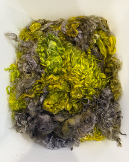 Dyed Locks - #261 Cotswold