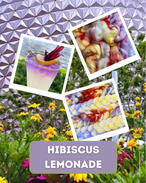 Plying Pair - Hibiscus Lemonade