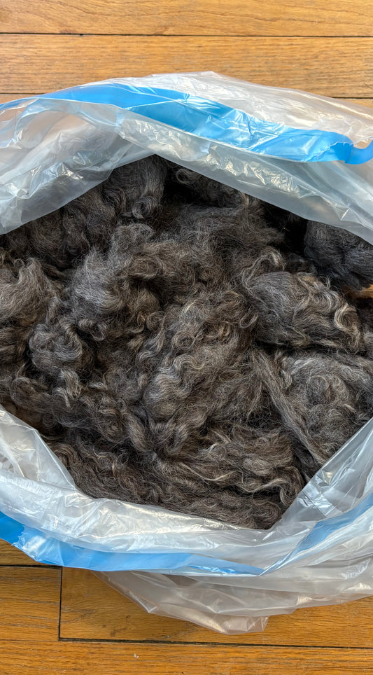 Washed Wool #020 - Border Leicester Wool