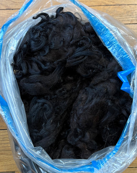 Washed Wool #016 - Karakul Wool
