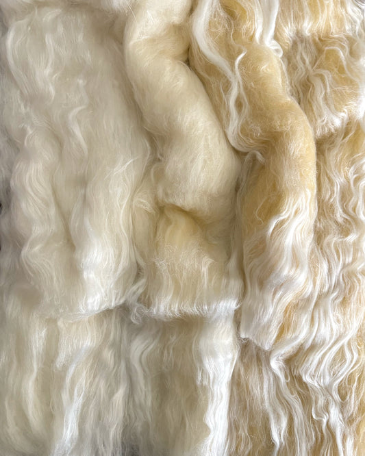 Reflections Batt - 41