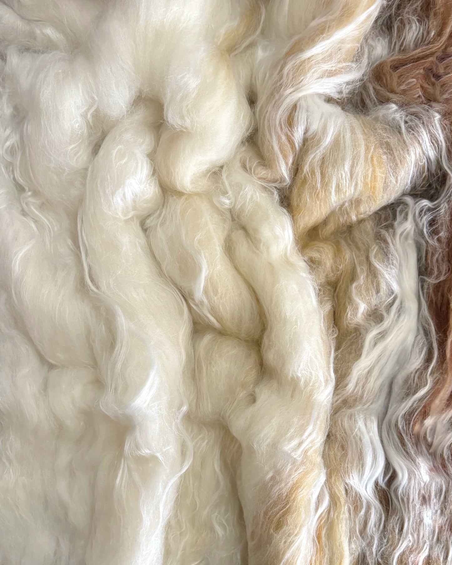 Reflections Batt - 58