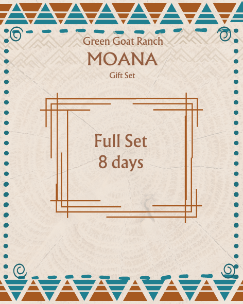 Pre-Order - Gift Set - Roving - Moana