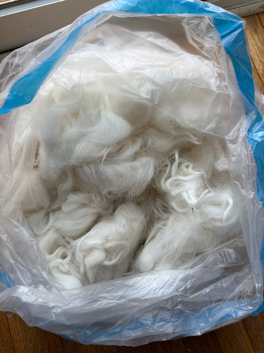 Washed Wool #013 - Navajo Churro Wool