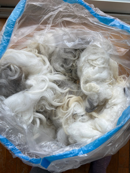 Washed Wool #010 - Scottish Blackface Cross Wool