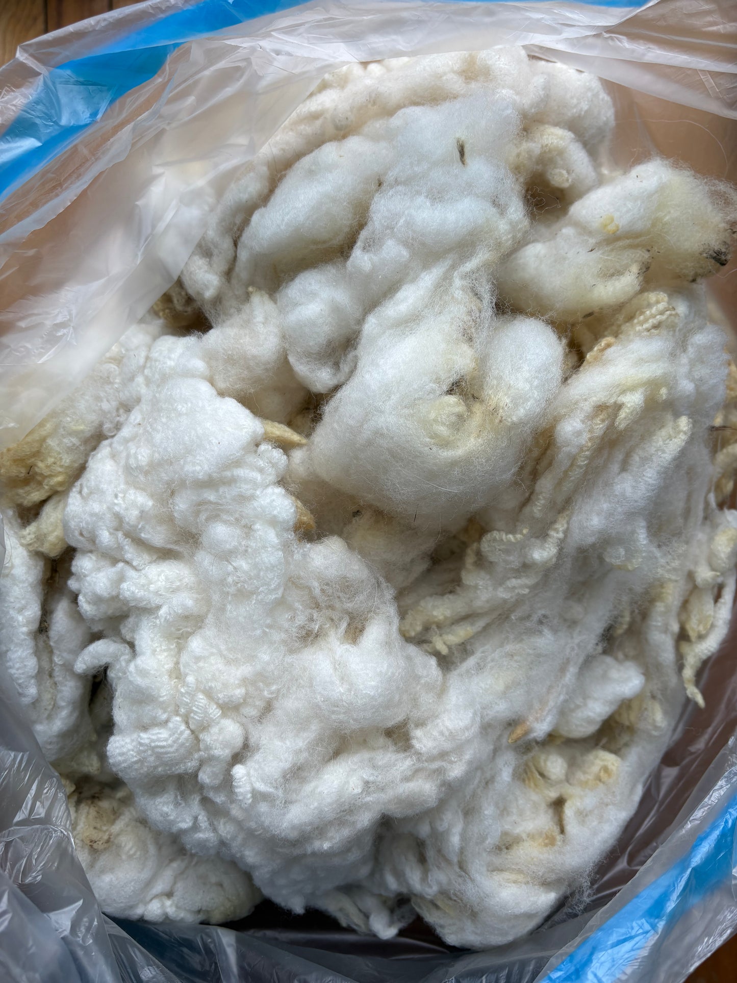 Washed Wool #005 - Rambouillet Wool
