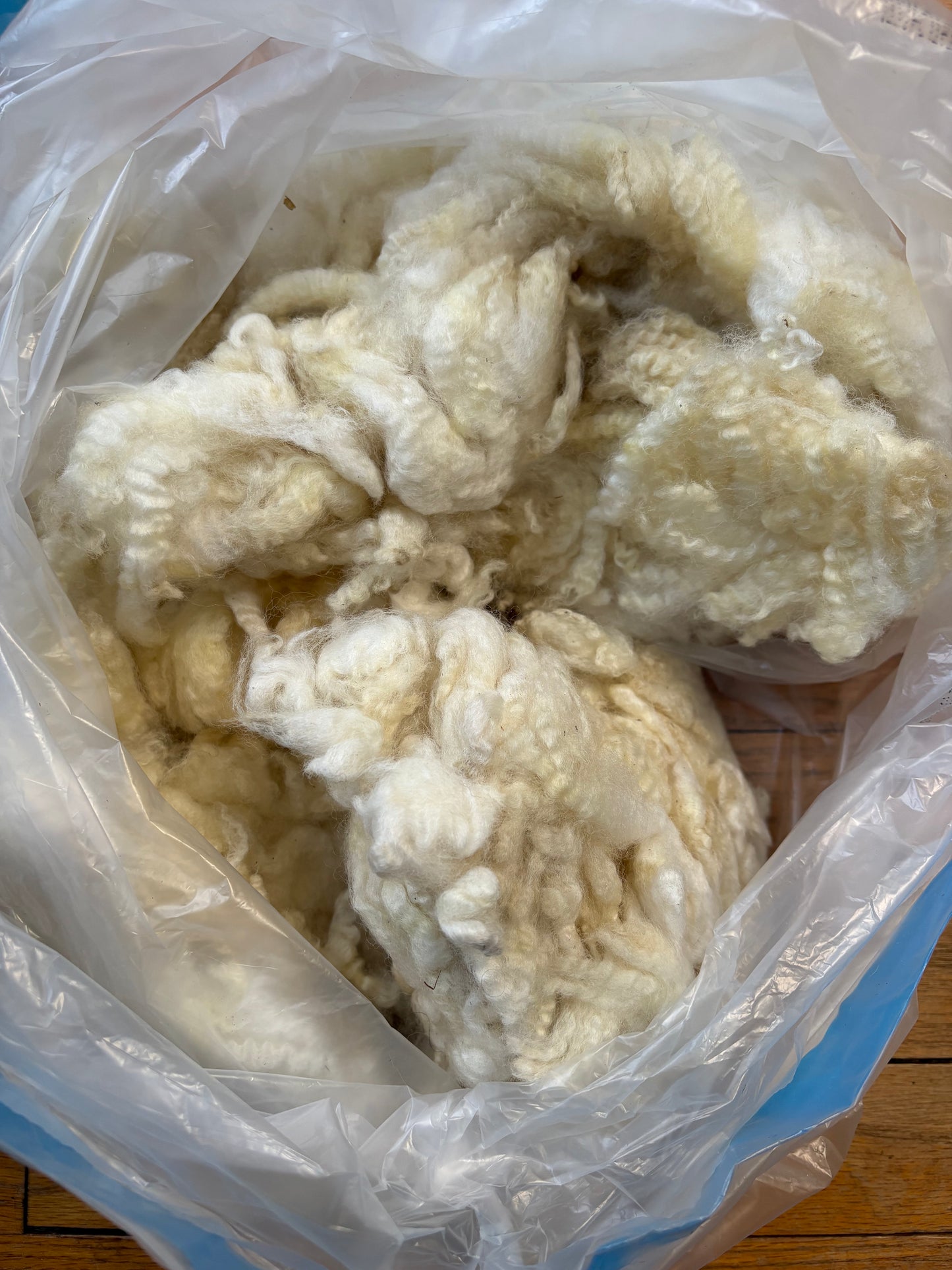 Washed Wool #019 - Romney Wool