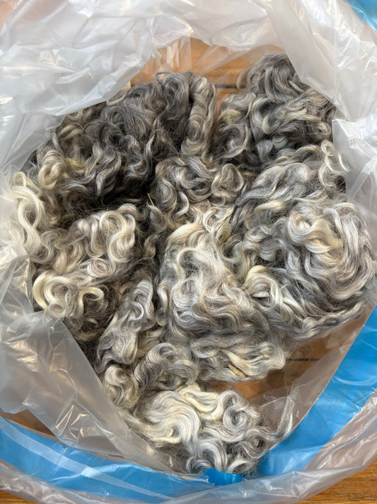 Washed Wool #023 - Lincoln Wool