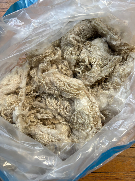 Washed Wool #021 - BFL Wool