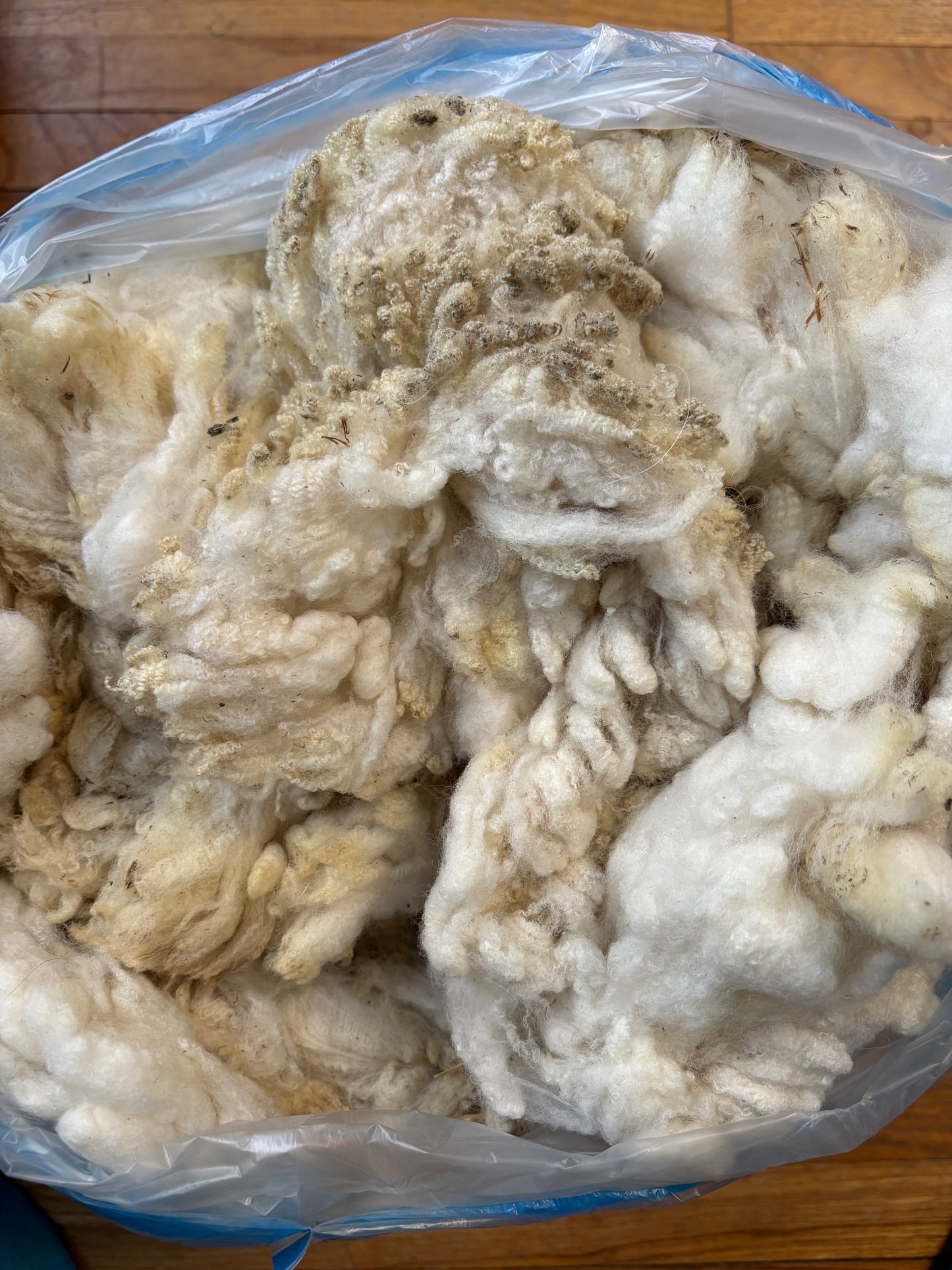 Washed Wool #015 - Rambouillet Wool