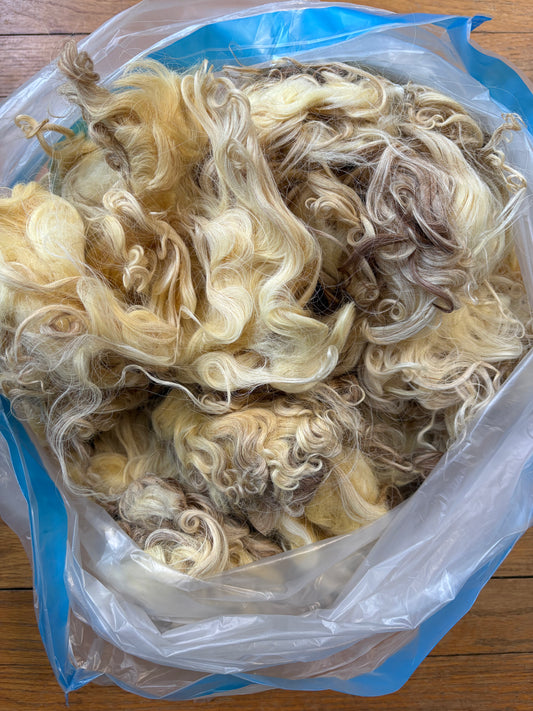 Washed Wool #018 - Karakul Wool