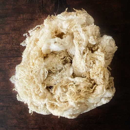 Washed Wool - BFL (Bluefaced Leicester) Lot A