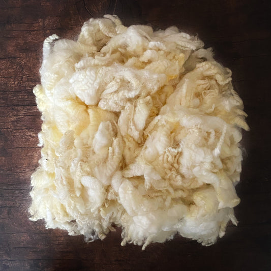 Washed Wool - Romney Lot D
