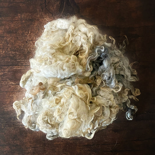 Washed Wool - Lincoln Lot A