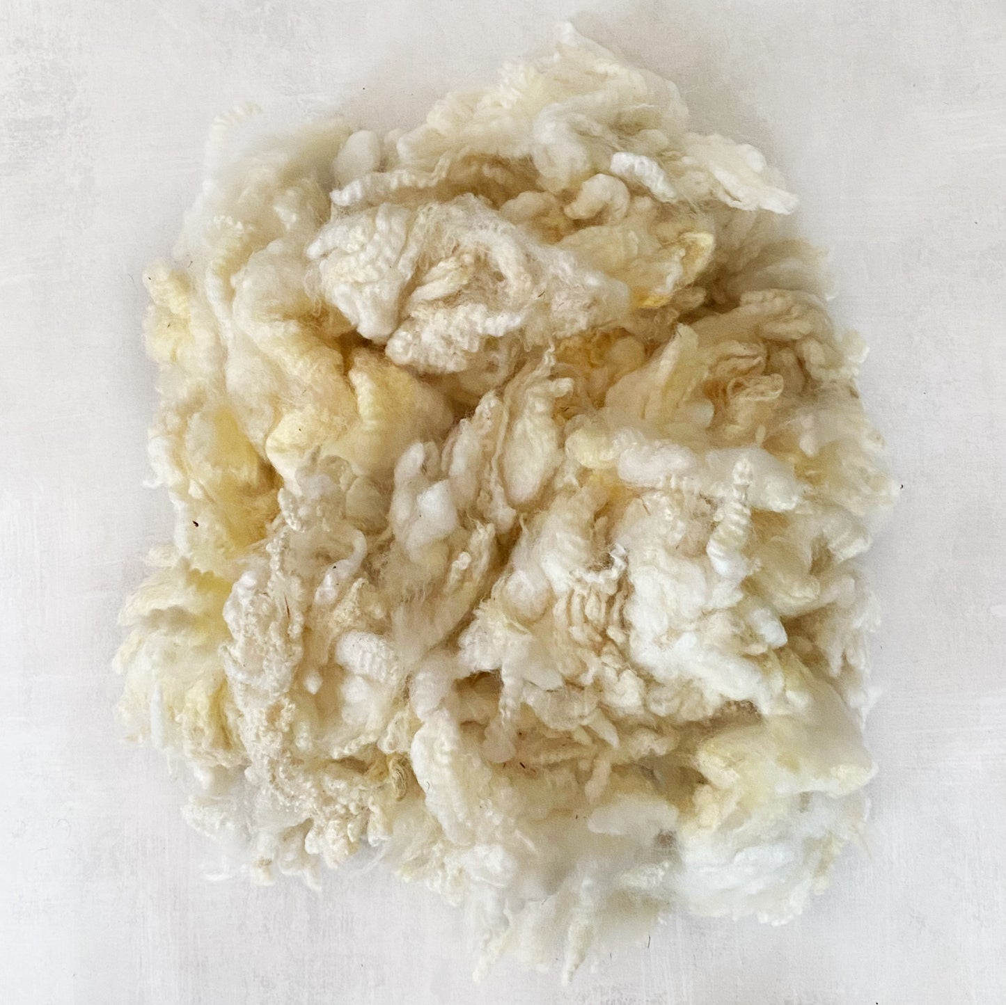 Washed Wool - Romney Lot D